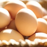 0402_Egg_Distinctivedesign_dreamstime_l_50439240_s.jpg